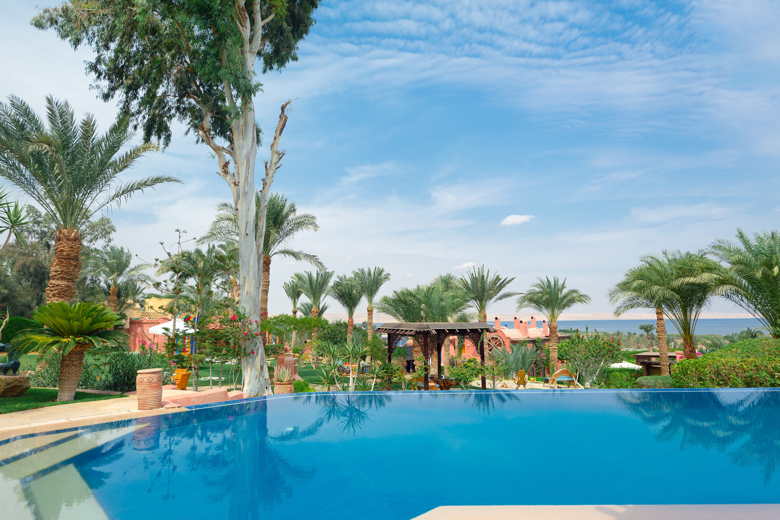 Pool and palm garden under a blue sky.